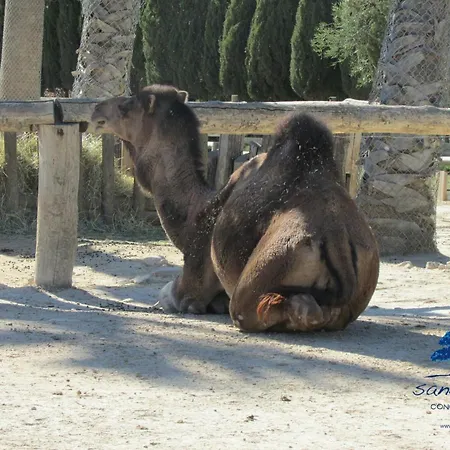 Mobilhome Sensation Vacances