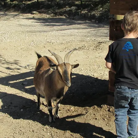 Campsite Mobilhome Sensation Vacances *
